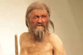 5000年前冰人奥兹被发现，人们还在他的武器中，发现最古老粘结剂图片