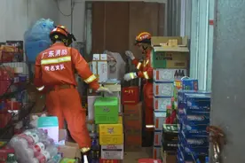 广东一仓库惊现14条眼镜蛇！专家：还会更多，蛇卵到了孵化的季节图片