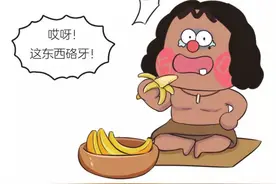 香蕉的起源图片