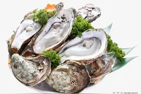 长相看起来差不多，为何一个叫生蚝，一个叫牡蛎？还好现在知道了图片