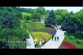 黑龙江这些宝藏景区堪称“颜值天花板”，YYDS！图片