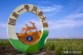 自驾游--国家一号风景大道图片