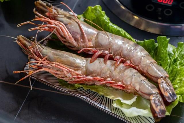 奶白色鱼翅花胶汤 2026年花胶鱼翅汤的做法