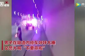 陕西一男子在隧道内停车后竟然…交警大喊"不要命啦"图片