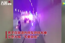 陕西一男子在隧道内停车后竟然…交警大喊"不要命啦"图片
