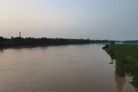邯郸岳城水库泄洪，馆陶与冠县七一大桥水流湍急图片