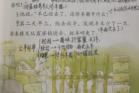《亡羊补牢》《揠苗助长》关键考点，笔记很重要。图片