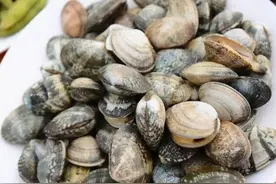 让花甲吐沙，别用盐水泡了，只需简单3步，20分钟吐干净，管用图片