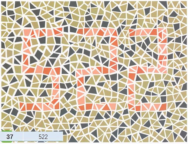 驾驶员体检色盲测试图及答案,驾考难度非常大的4张色盲图,你能认出几