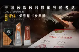 2018-2019年度海内外评优 · 荣誉证书及奖牌图片