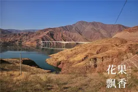 4年巨亏几千万，看这位在云南投资农业的浙江人如何起死回生图片