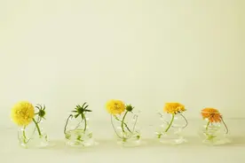 散文：风轻语，雨呢喃，听人间故事，获一份内心恬然图片