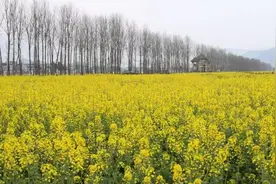 田城艺苑 | 我在田城等你图片