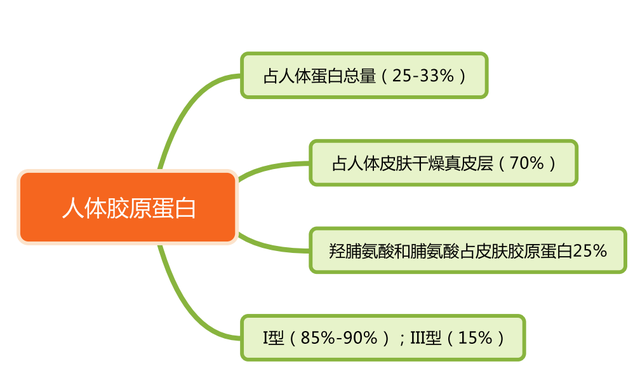鑳跺師铔嬬櫧绌剁珶鏄€滄櫤鍟嗙◣鈥濊繕鏄編瀹瑰湥鍝侊紵鎴戜滑鐢ㄦ渶鏉冨▉鐨勮瘉鎹璇? onerror=