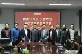 和美华集团50万只蛋鸡养殖项目落户山东蒙阴图片