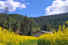 剑阁有种味道叫麻辣串，比成都串串还好吃，美味可口都抢着吃图片