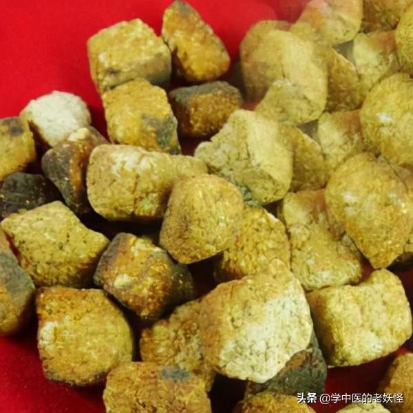 神曲的功效与作用（每天学习一味中药神曲）