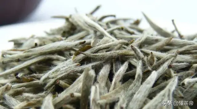 你喝的茶叶上是有毛毛吗？那是茶毫还是霉变？