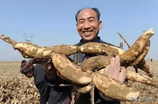 邢台十大皇家贡品，你知道是什么吗？