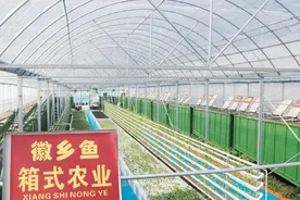科技赋能引领高质量发展，2020年农业农村部10大引领性技术速览图片