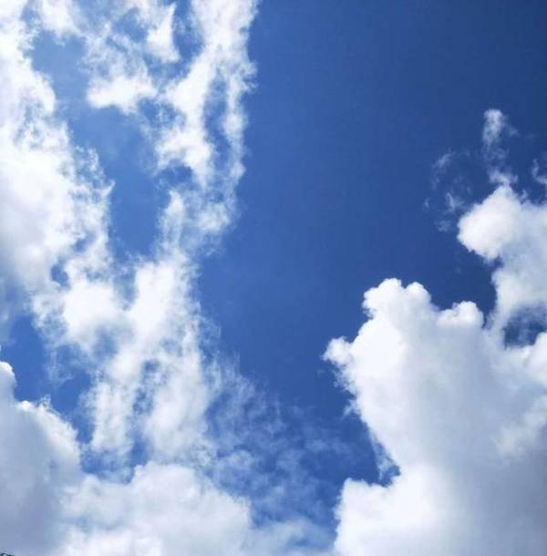 海南农业领军企业---东方嘉品源农业科技开发有限公司