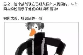 整理了一下最近‘画鸭子挑战’网友们优秀的作品脑洞大开哈哈哈哈图片