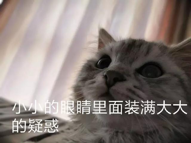 各大车企,这真的是你能想到的最好名字了吗?