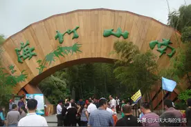 江苏溧阳南山竹海非常舒适图片