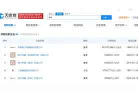 格力二把手走了，年薪416万，身家4亿，名下44公司图片