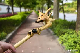 老人将檀木树枝做成拐杖，包含5种动物特征，有人欲用3000元购买图片