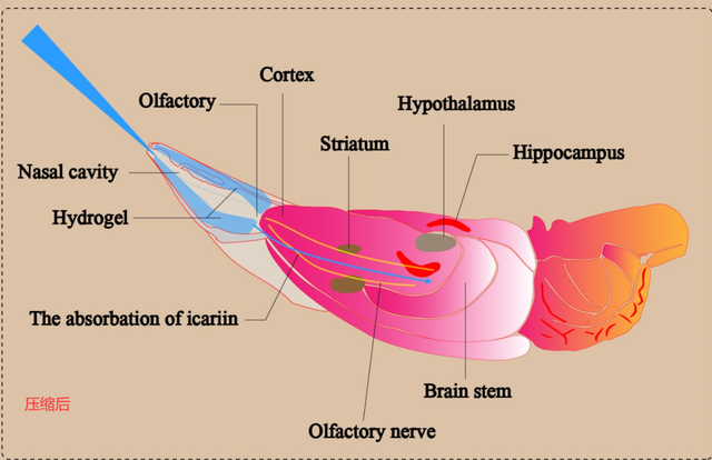 内存小，清晰度高的图片如何制作？