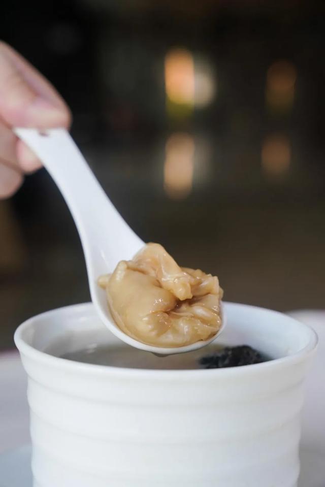 水鸭 羊肚菌 花胶 2026年水鸭羊肚菌汤的做法