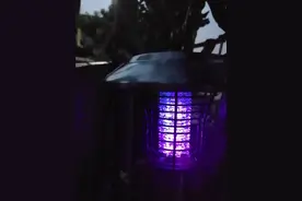 灭蚊灯有用吗？夏日庭院蚊虫多，尚科灭蚊灯帮你守护庭院图片