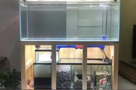 养鱼究竟配哪种过滤系统才好？剖析10种过滤系统的优缺点图片