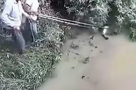 男子河边发现大鱼，结果悄悄的走近看清楚后，吓的赶紧逃命图片