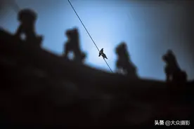 变换角度 拔高高度图片
