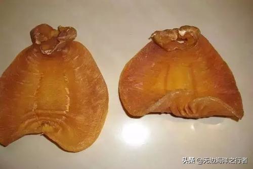 鳘鱼花胶多少钱一斤 2026年鰽鱼胶花胶效果怎么样