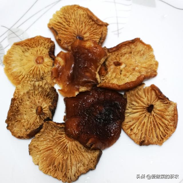 土伏苓灵之能加花胶一同煲码 2026年土伏苓能跟灵芝煲汤吗