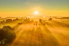 手机拍夕阳，怎么能金灿灿？学会调这2个手机摄影参数即可图片