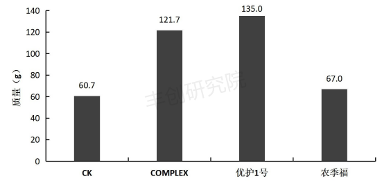 氨基酸肥能增强抗性、提高品质！但是浓度不对，效果天差地别