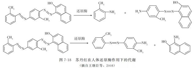 动物源性食品中有害化学物质及污染物的检测———苏丹红