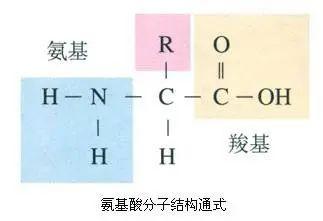 氨基酸、黄腐酸、腐植酸：三大生物刺激剂的作用与区别！