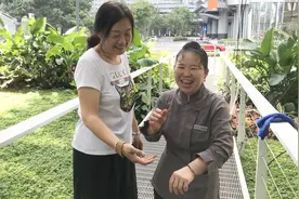 深圳清洁工每月工资9000多？安徽大姐说出真实情况，你也想干吗？视频封面