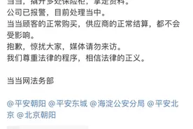 闯当当撬保险柜拿资料，李国庆等4人被拘留图片