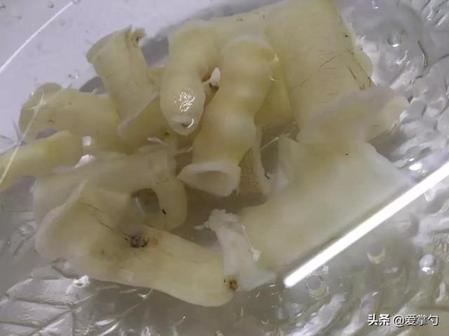 花胶炖牛奶要切开吗 2026年花胶炖牛奶要切开吗图片