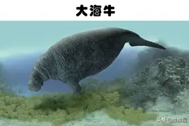 未来可能会重新出现在世界上的9个已经灭绝的生物图片