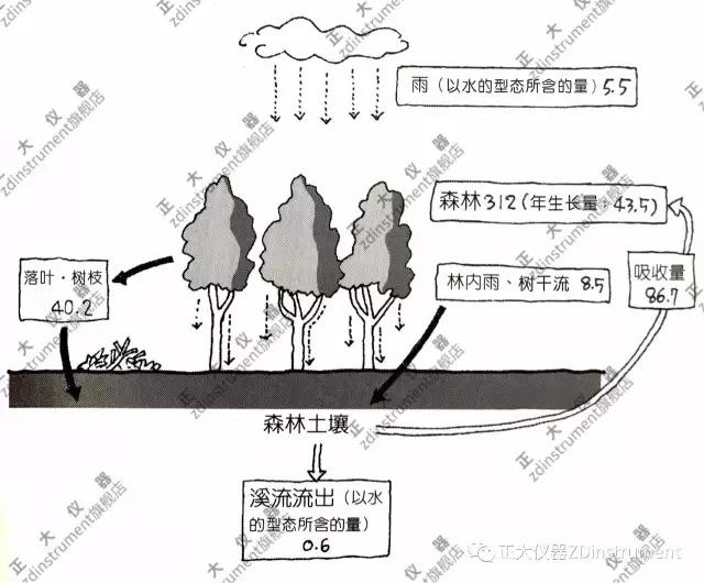 土壤中的氮循环