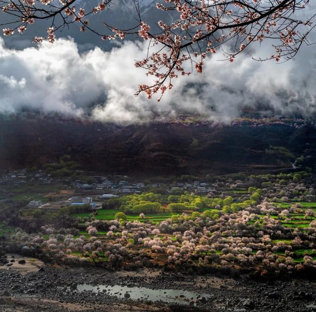 图赏 | 摄影如奇遇,有心得相逢