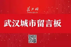 武汉两大新火车站有消息了！一个明年开通，另一个连接5条地铁线图片
