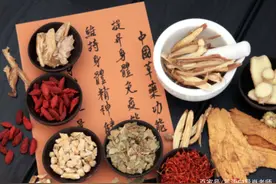 分数线“畸高”的中医学（5+3一体化），就业如何呢？图片